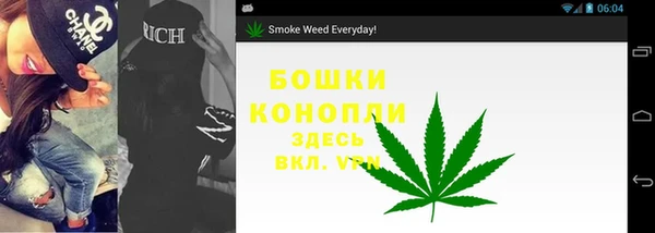 гидропоника Абаза