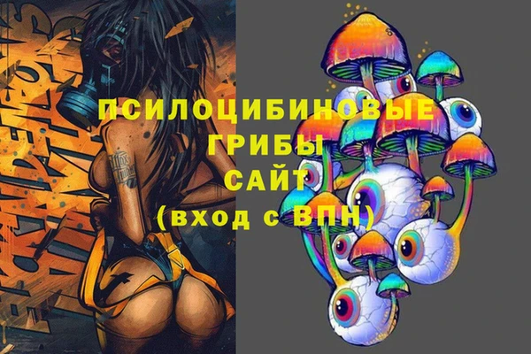 гидропоника Абаза