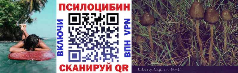 Псилоцибиновые грибы ЛСД  Южноуральск 