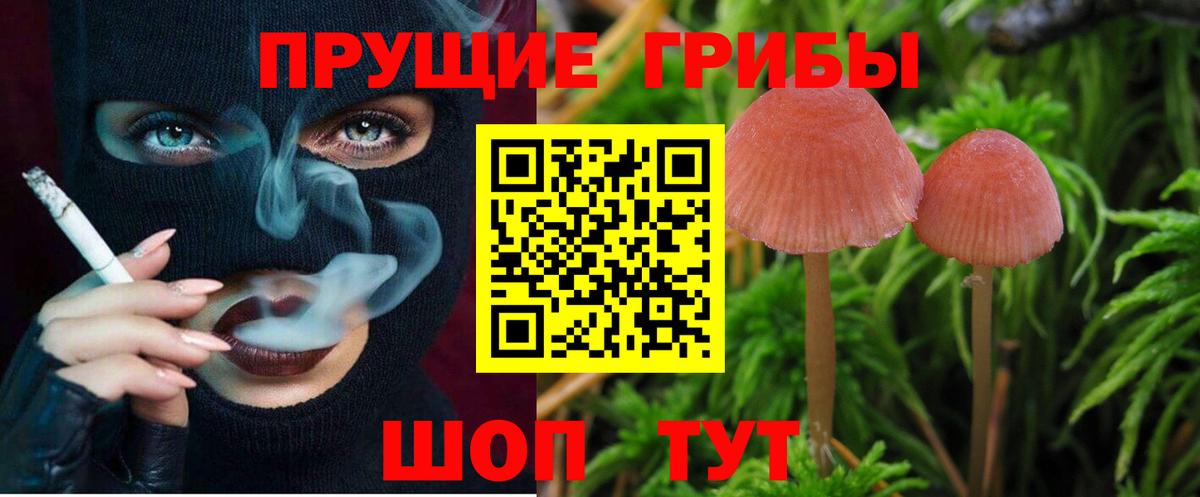 продажа наркотиков  Псилоцибиновые грибы Magic Shrooms  Вход с VPN  Южноуральск  Псилоцибиновые грибы Cubensis 