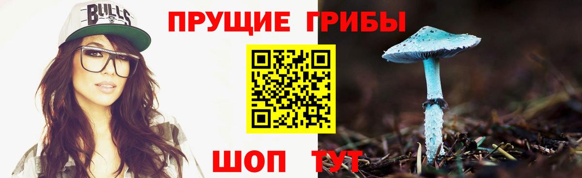 Псилоцибиновые грибы Psilocybine cubensis Южноуральск