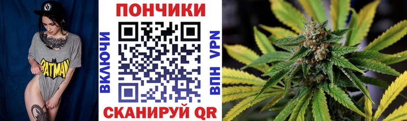 купить закладку  Южноуральск  Бошки марихуана индика 